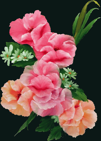 bouquet de roses.gif, 92 KB
